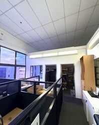 Focus One (D14), Factory #540479531